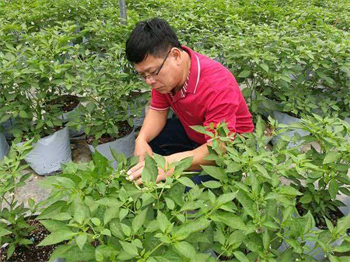 1761264363601232.png 图片5.png